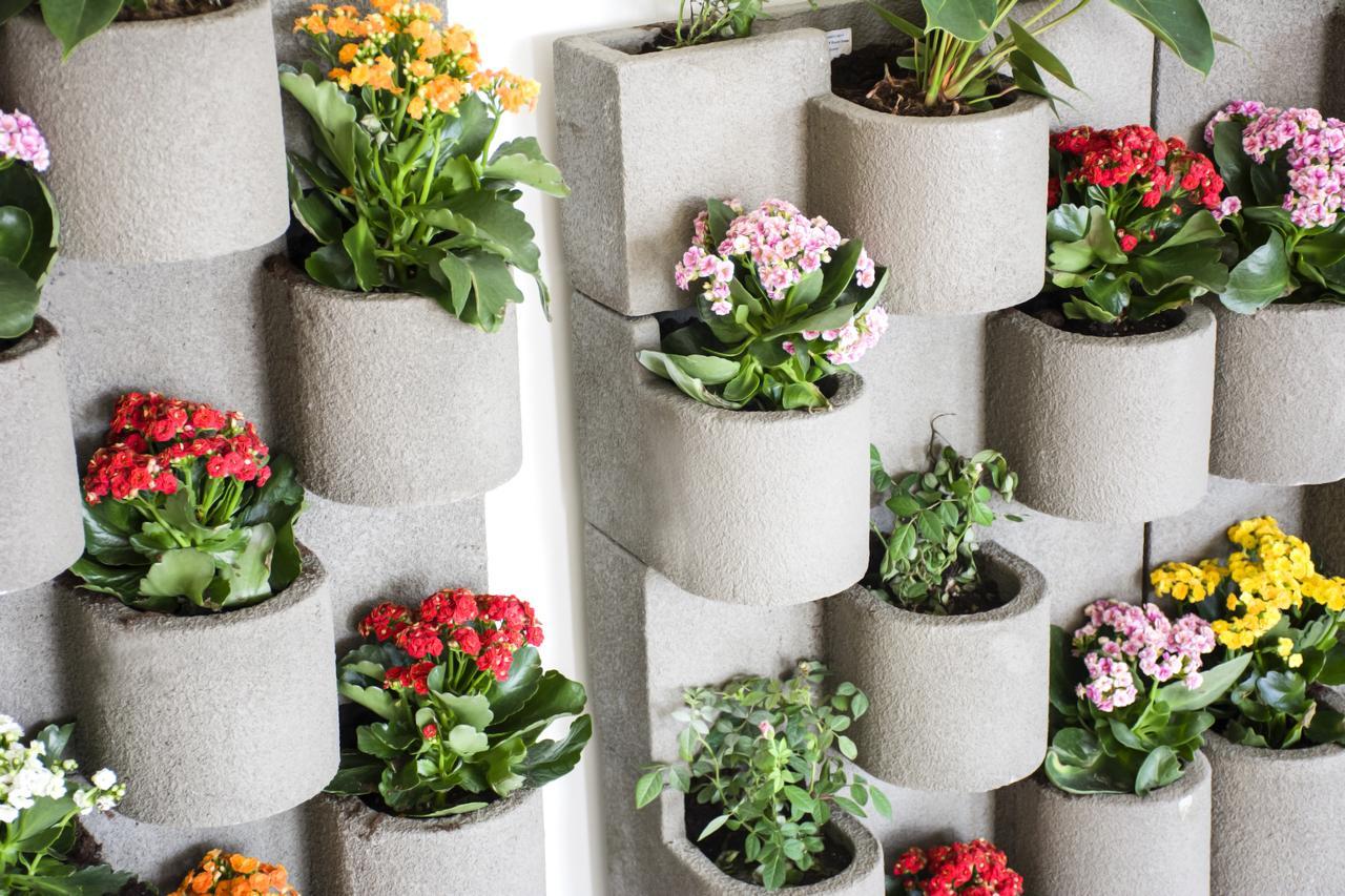 Radisson Blu Resort, Al Khobar Халф Муун Бей Екстериор снимка Vertical garden